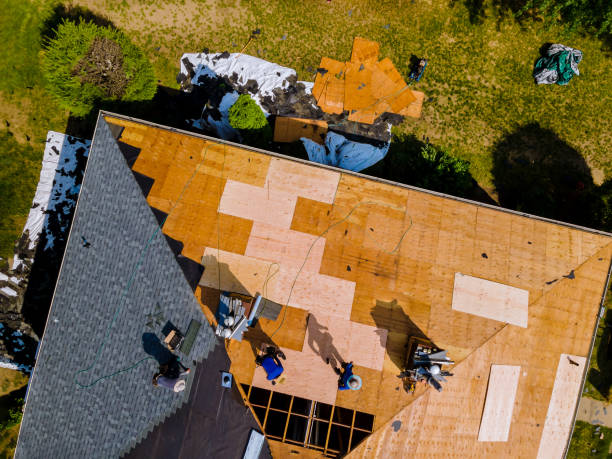 Best Gutter Installation and Roofing  in Williamston, MI