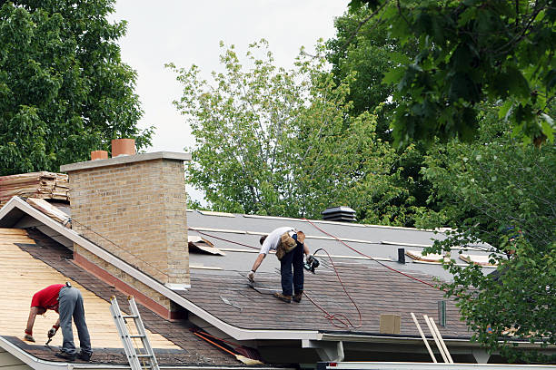 Best New Roof Installation  in Williamston, MI